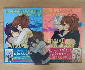 BROTHERS CONFLICT 공식 비주얼 북