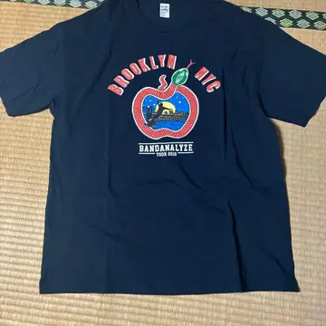 BROOKLYN NYC BANDANALYZE TOUR 티셔츠 XL