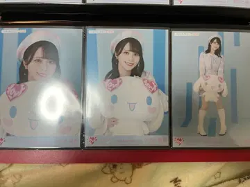 이코러브 시나모롤 브로마이드 사사키 마이카 컴프 시나몬