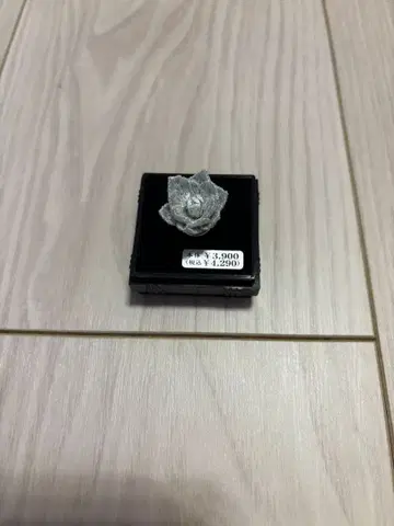 INI 핀 배지 화이트 고토 타케루 님