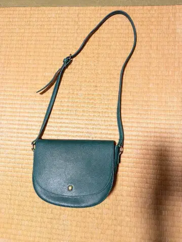 그린 플랩 숄더백