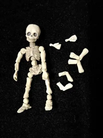포즈 스켈레톤 사람 어린이 중고