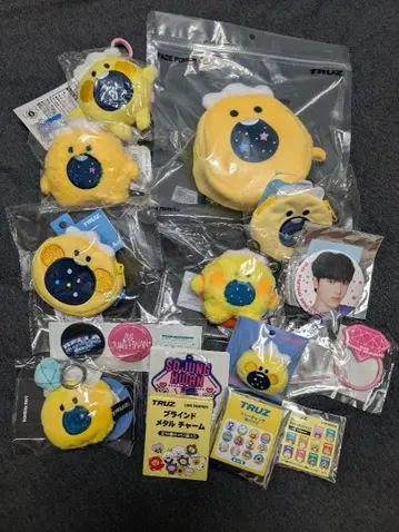 TREASURE truz 포동 정우