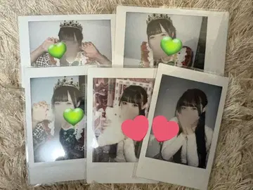 와카바노아 란폴라로이드