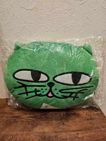 옥캣 택연 2PM 쿠션