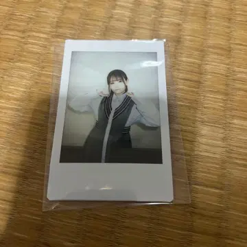 코히나타 미카 폴라로이드