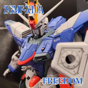MG 1/100 프리덤 건담 ver.2.0 페인팅 (라이징풍 개조)