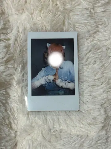 러브식 하야테 폴라로이드