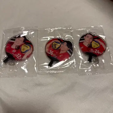 배구 남자 일본 대표 부채 아크릴 참