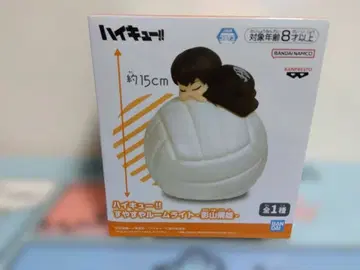 무료배송 하이큐 룸 라이트 카게야마 토비오