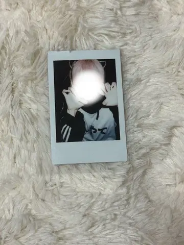 러브식 하야테 폴라로이드