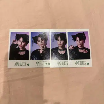 초특급 타쿠야 NINE LIVES 미니 사진 4장