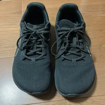 알트라 에스카란테 4