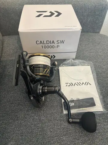 칼디아 SW 10000-P