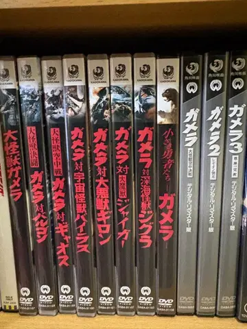 가메라 시리즈 11권