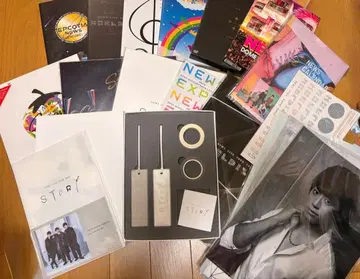 NEWS DVD 클리어 파일 팜플렛 부채 굿즈 묶음 판매 A