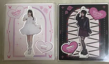 큐스토 사쿠라바 하루카 아크릴 스탠드 생일 축하제