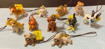 CC Lemom 덤 강아지 고양이 스트랩 총 11개