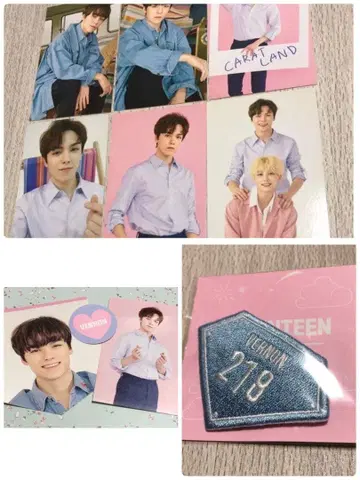SEVENTEEN 2019 CARAT LAND 굿즈 버논 5종 세트