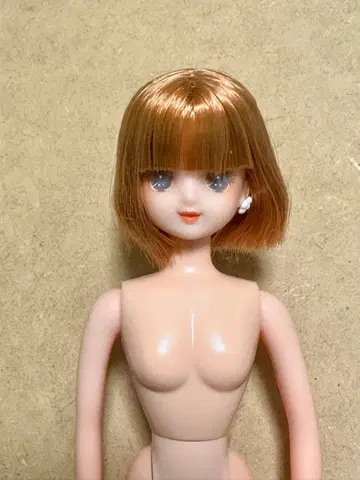 리카짱 캐슬 푸르룬짱