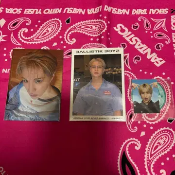 마츠이 리키 포토 카드 증명 사진 세트