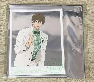 Free! 힐튼 아크릴 카드 마코토