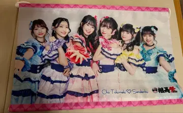 도키센 태피스트리