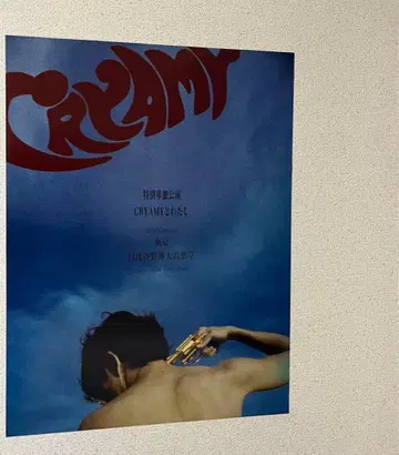 CRYAMY 포스터 B2