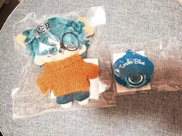 Eve 이브 참 안경ver & UB 복권 키링 덤 포함