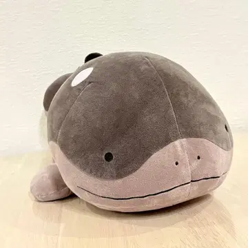 새상품 포켓몬 봉제 인형 도오