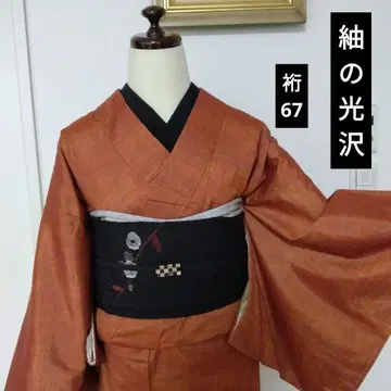 새상품급 미사용   이로무지 이중 기모노  광택 다이쇼 로망풍으로