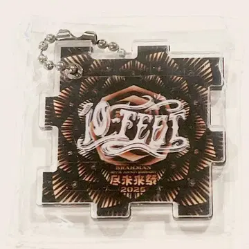 진미래제 2025/DAY 2/아크릴 키링/10-FEET 2