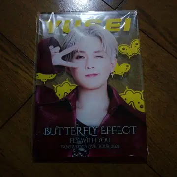 YUSEI FLY WITH YOU 엔니치 버터플라이 이펙트 1등