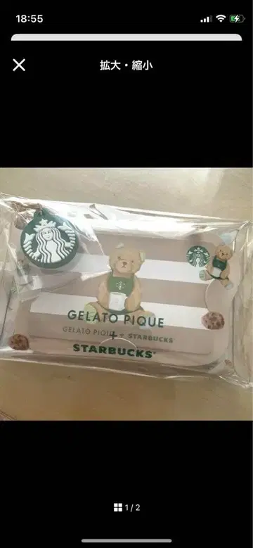 스타벅스 미사용 새상품! 젤라또피케 멀티 케이스 포함 카드