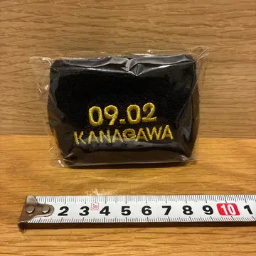 미개봉품 B'z LIVE-GYM Pleasure 2023 가챠09.02