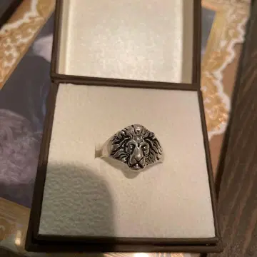 사자의 반지 19호