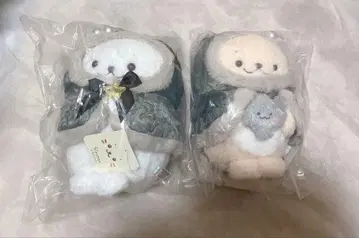 시로탄 래쿤 블랙 홀리 봉제 인형