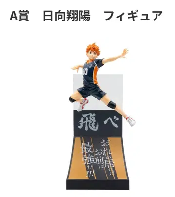 히나타 쇼요 A상 피규어