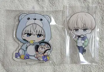 WIND BREAKER 윈브레 파보테리아 프린세스 카페 카지 렌