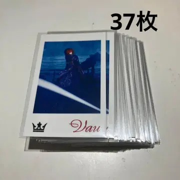 바우 바우군 포토 카드 묶음 판매 37장