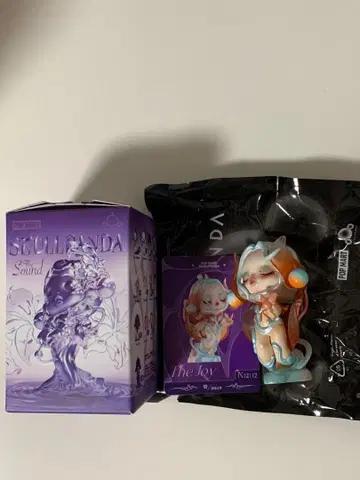 SKULLPANDA The Sounds Joy