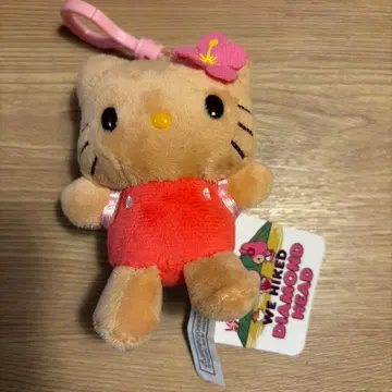 하와이 다이아몬드 헤드 한정판 일광화상 키티