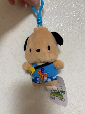 [ 한정판 ] 일광화상 포차코 x 다이아몬드 헤드 한정판 키링