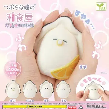 동글동글 눈망울의 일식집 므규누이 나마가키 4종 세트