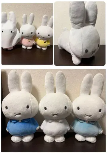 [miffy] 미피 봉제 인형 8세트 묶음 판매