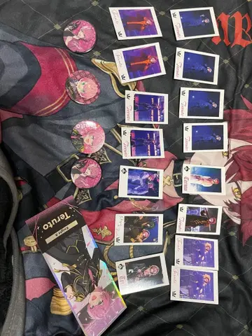 테루토 군 포토 카드 캔뱃지 클리어 티켓