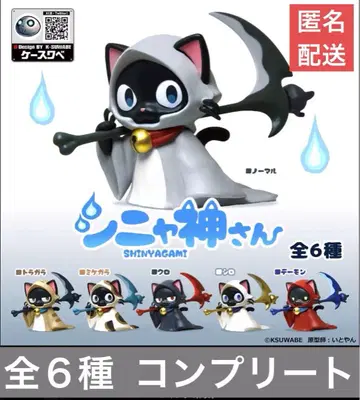 신야 신님 전 6종 컴플리트 세트
