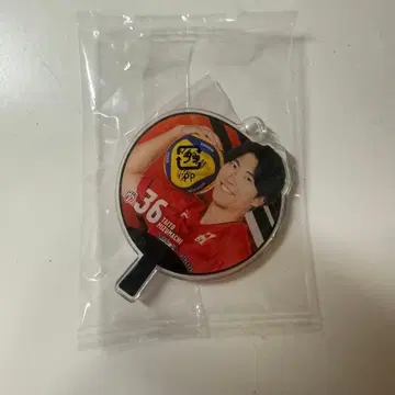 익명 배송! 미즈마치 타이샤 선수 배구 일본 대표 아크릴 참