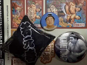 대스모 와카모토하루 3세트