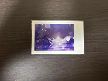 이레귤러즈 쇼토 실사 폴라로이드 렌즈